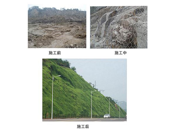 �Vɽ���w�U��